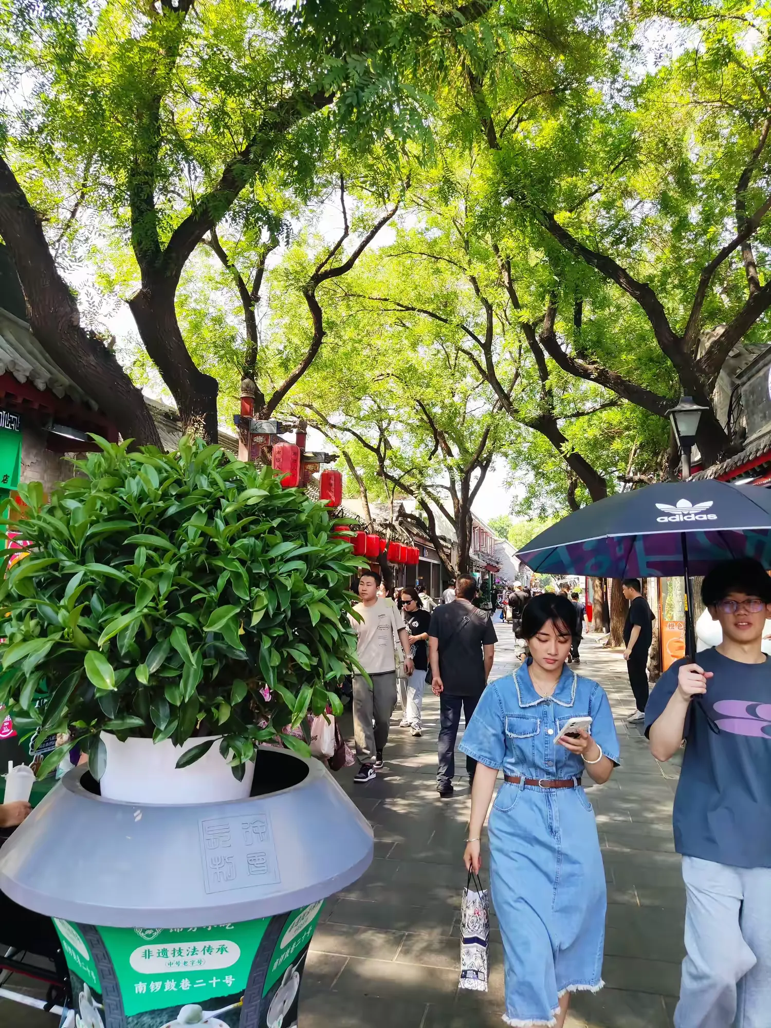 简篇-欧洲游(一)——开胃菜:皇城根游