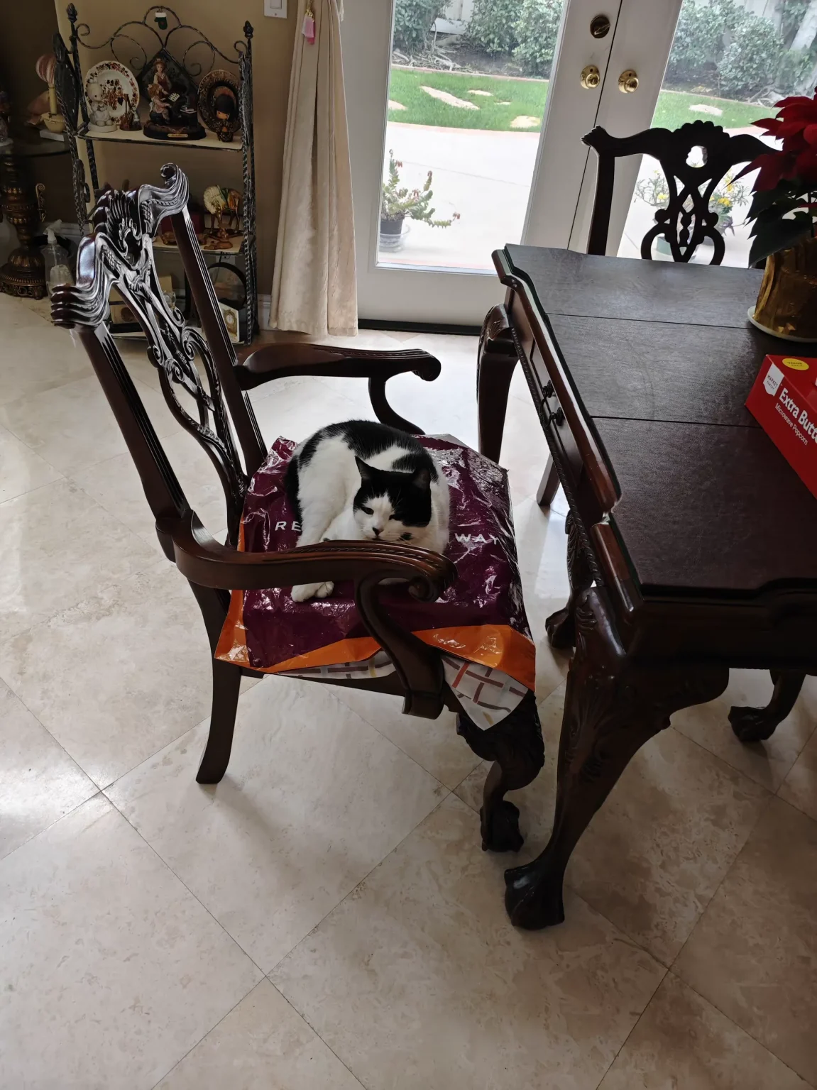 美洲和南极游（14）—— 回到洛杉矶