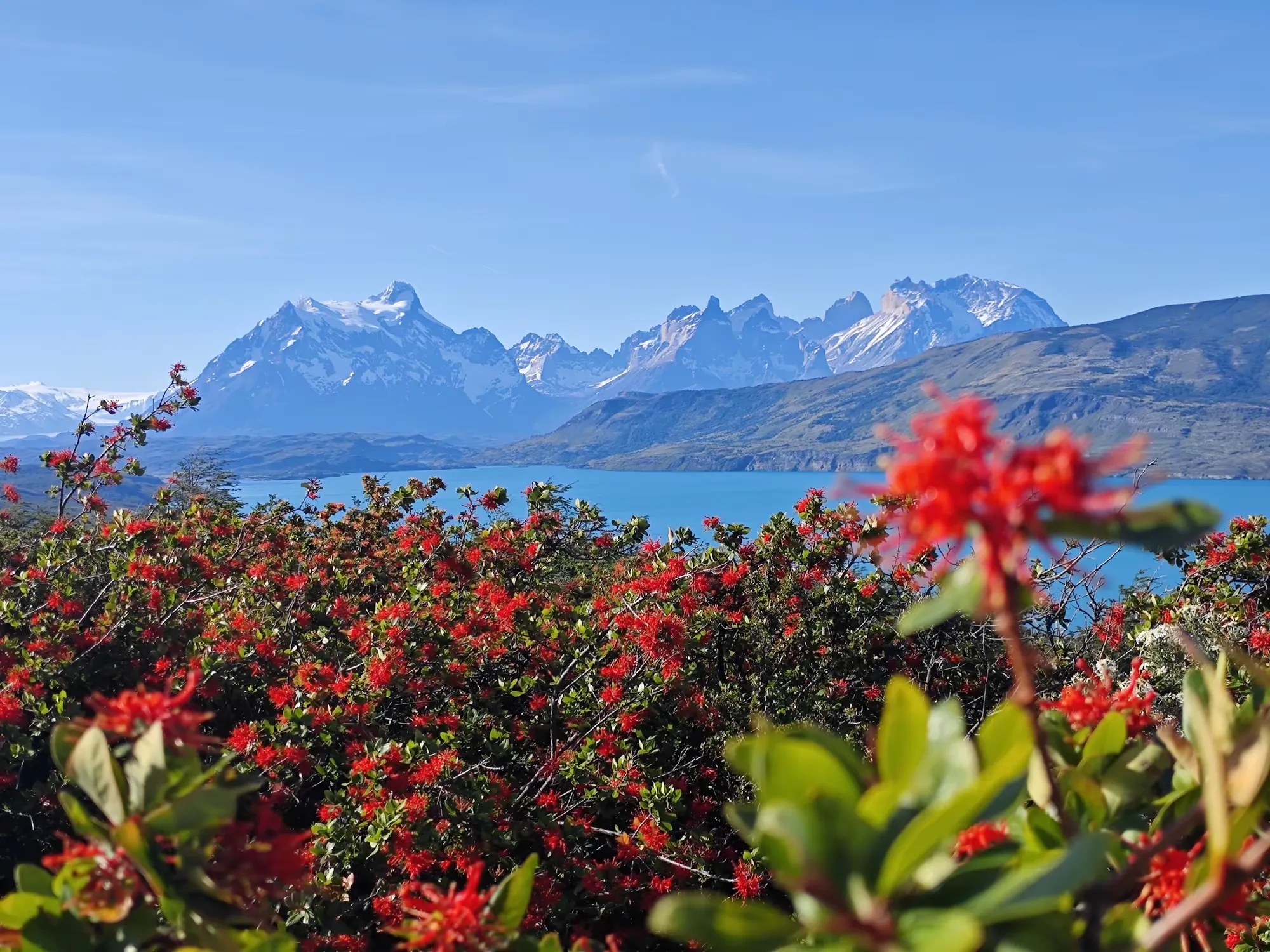 简篇-美洲和南极游(四)—— 智利百内国家公园(上)