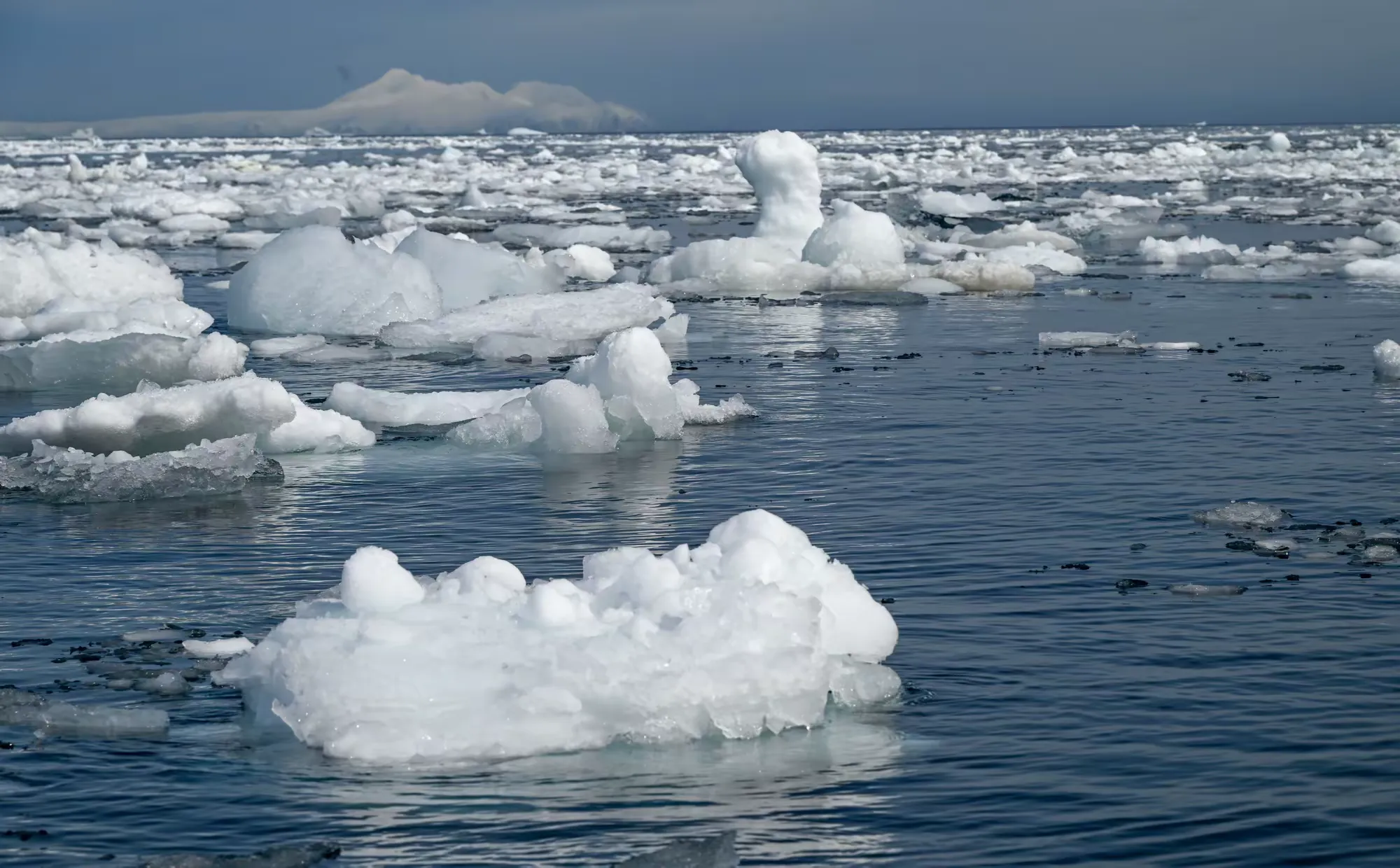简篇-美洲和南极游(八)—— 浮冰和冰山