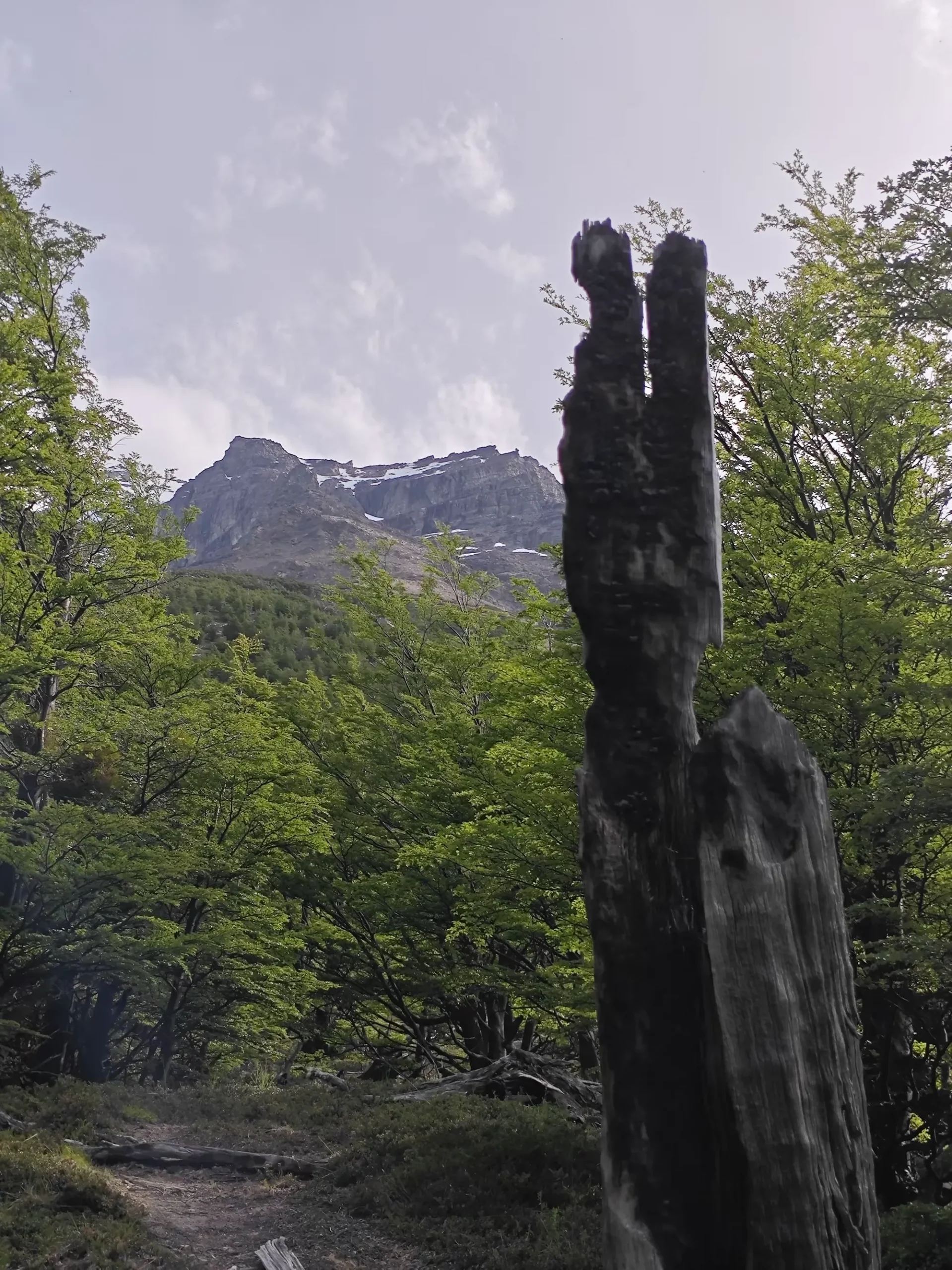 简篇-美洲和南极游(四)—— 智利百内国家公园(上)