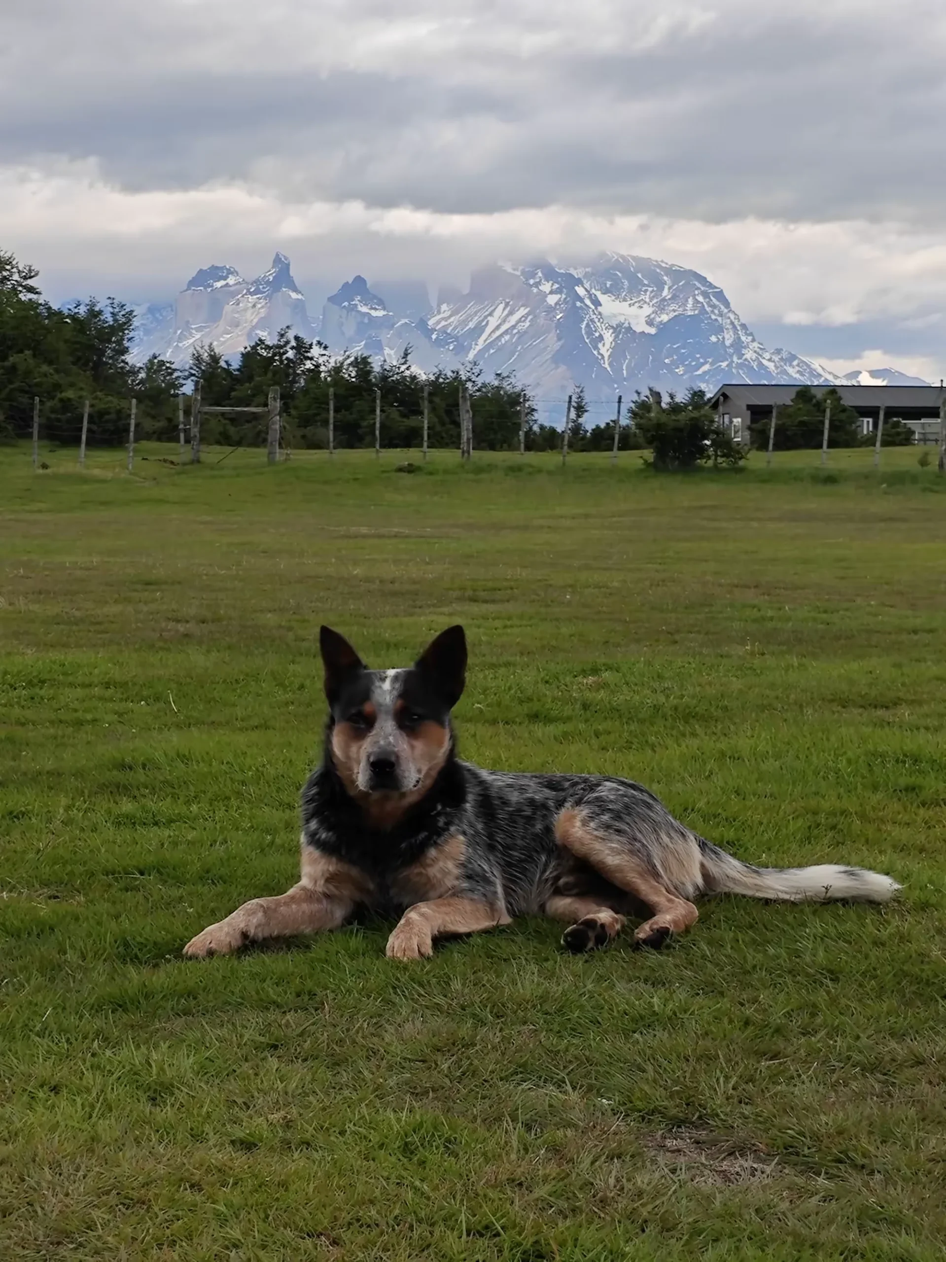 简篇-美洲和南极游(五)—— 智利百内国家公园(下)