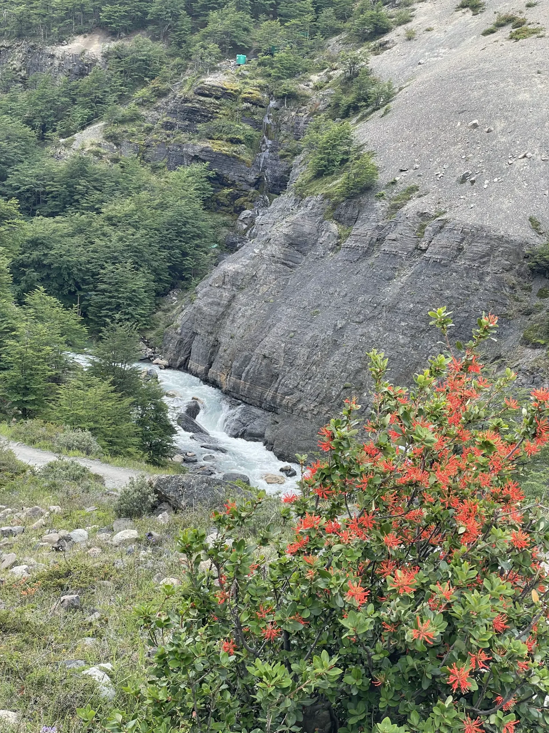 简篇-美洲和南极游(四)—— 智利百内国家公园(上)