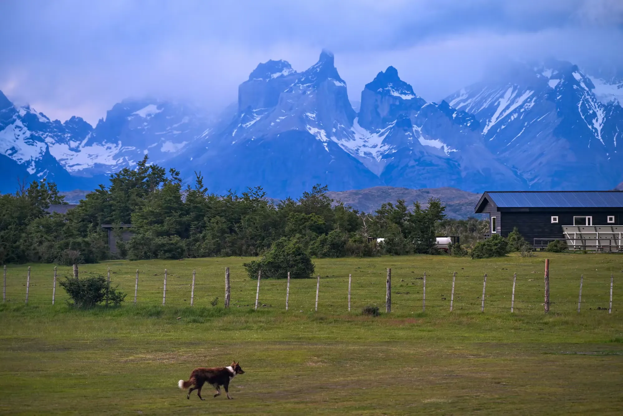 简篇-美洲和南极游(五)—— 智利百内国家公园(下)