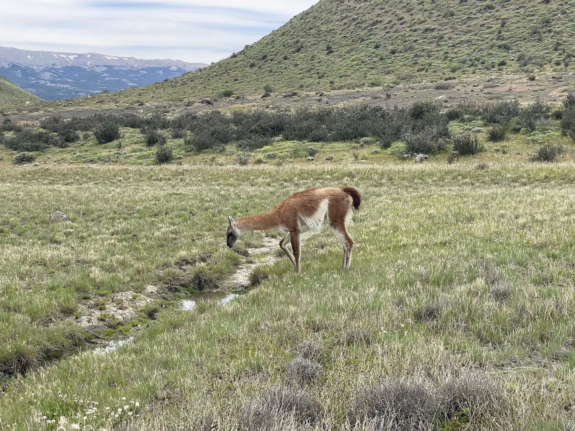 简篇-美洲和南极游(五)—— 智利百内国家公园(下)