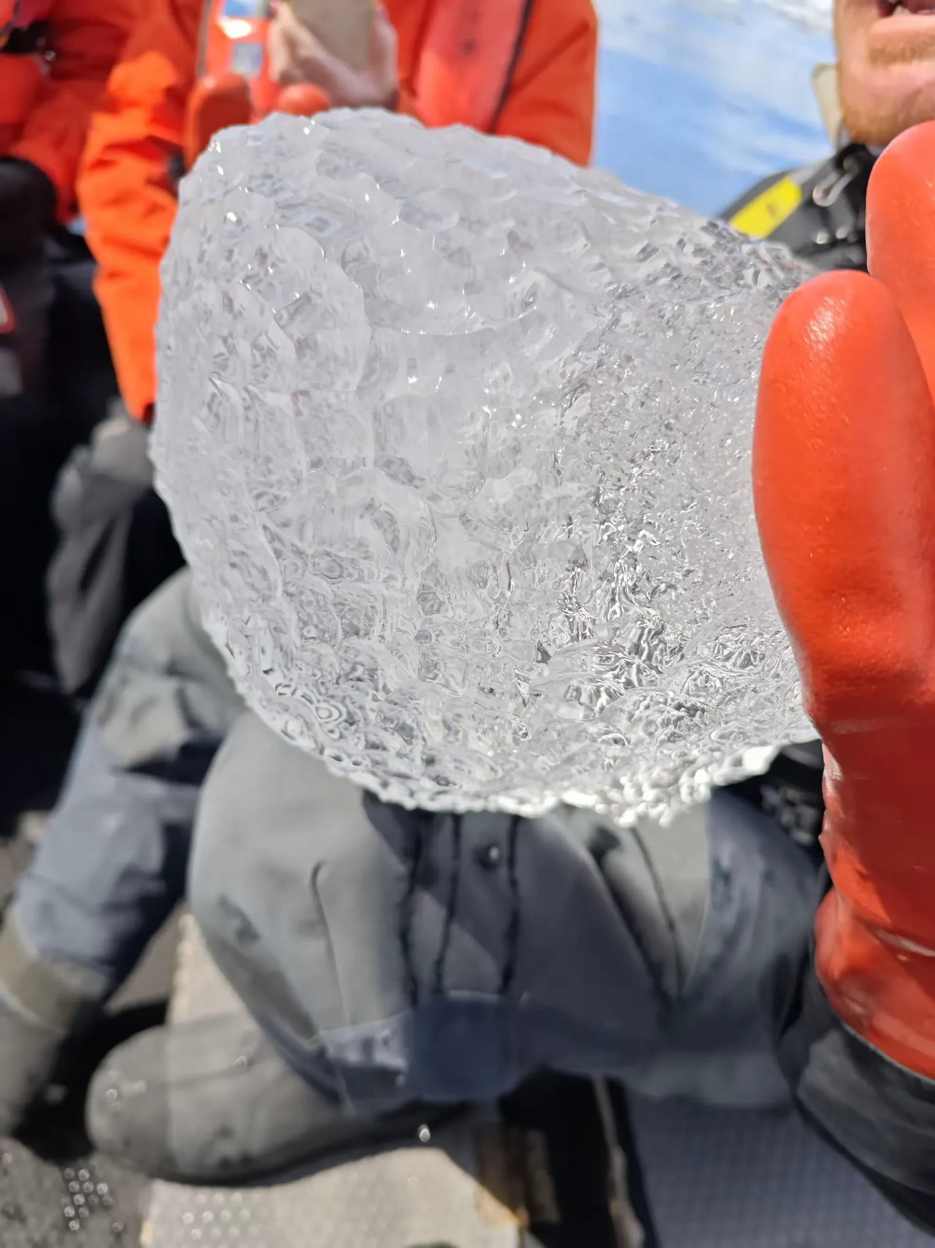 简篇-美洲和南极游(八)—— 浮冰和冰山