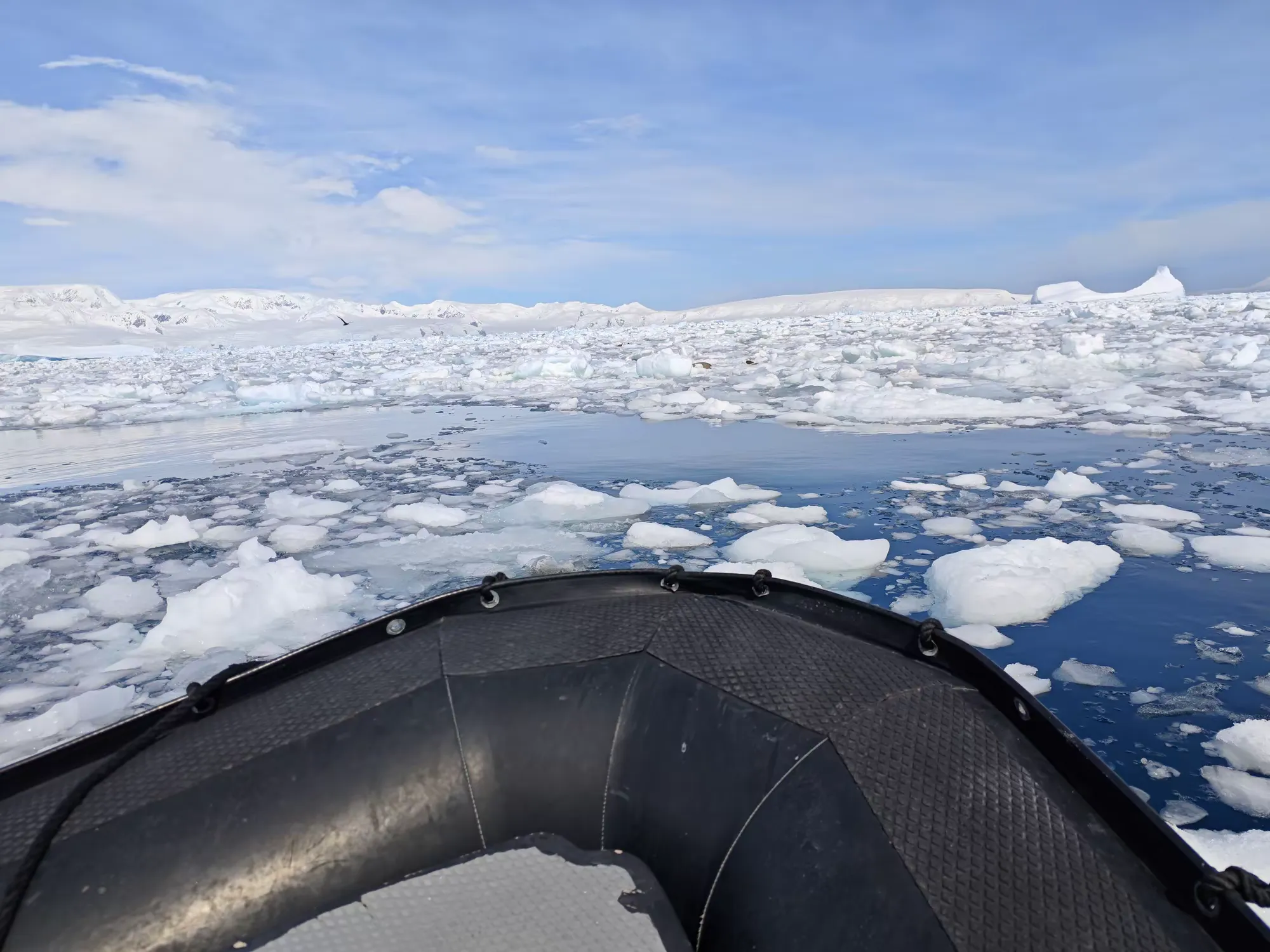 简篇-美洲和南极游(八)—— 浮冰和冰山