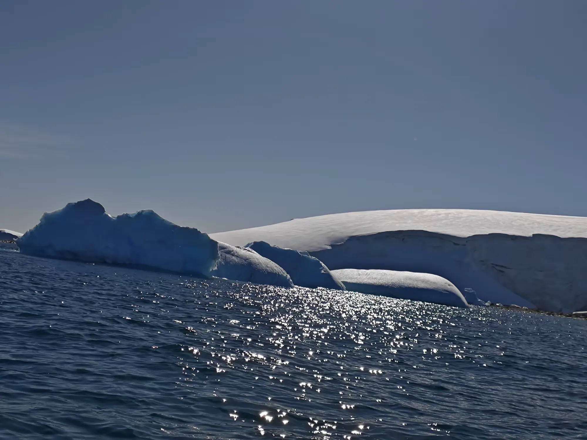 简篇-美洲和南极游(八)—— 浮冰和冰山