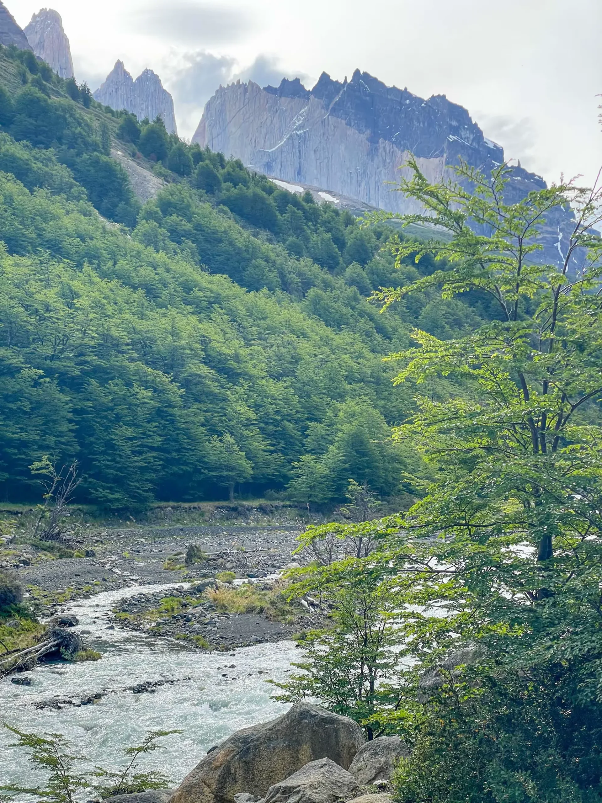 简篇-美洲和南极游(四)—— 智利百内国家公园(上)