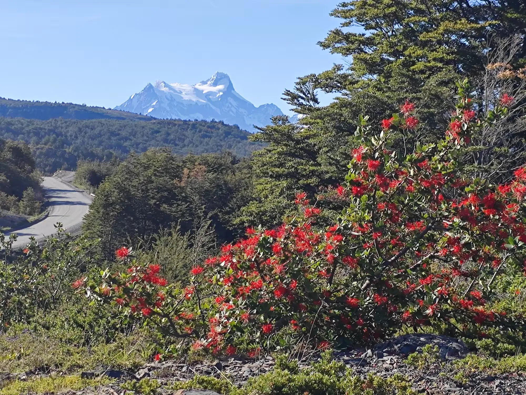 简篇-美洲和南极游(四)—— 智利百内国家公园(上)