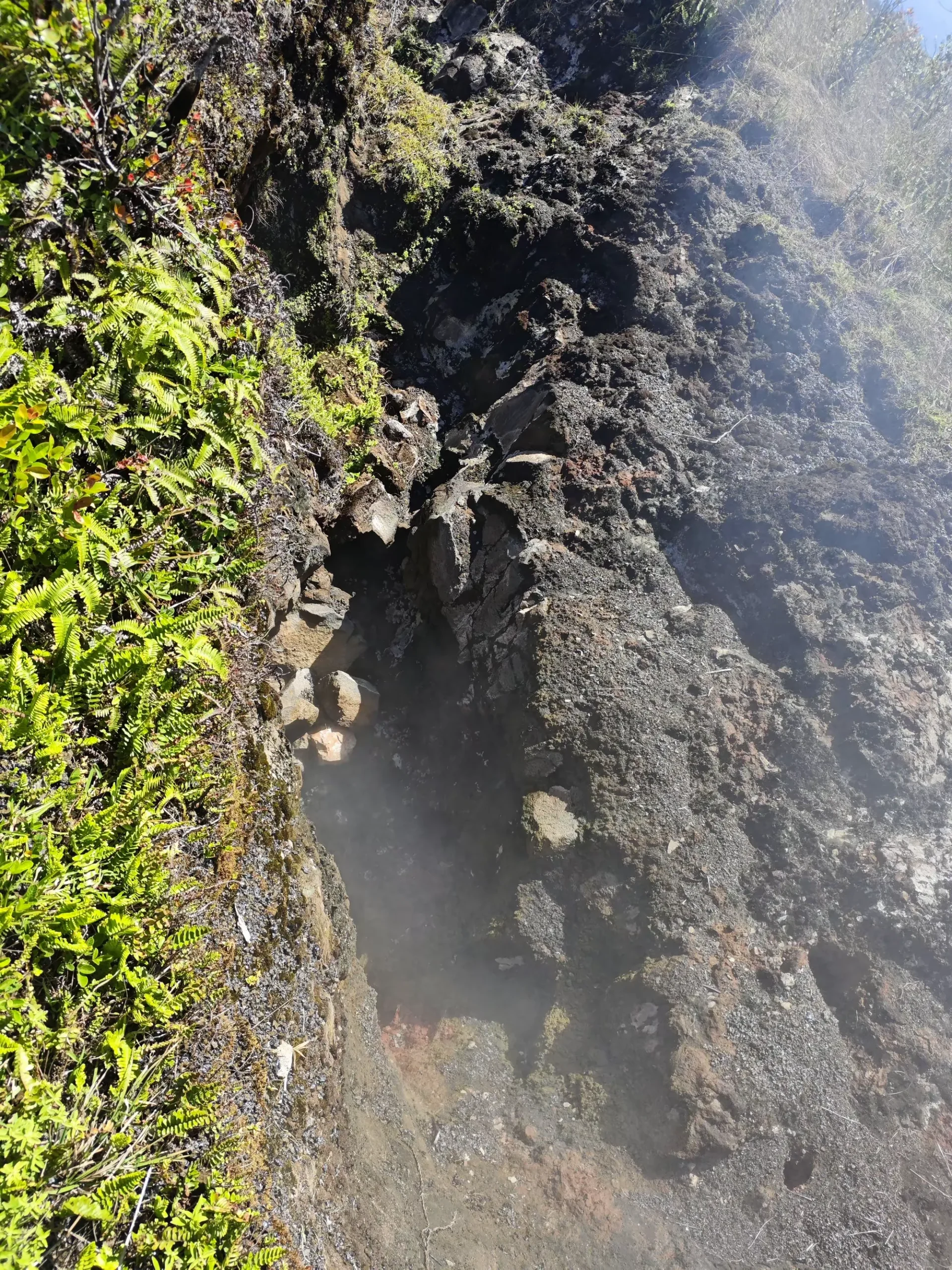 简篇-夏威夷自由行(九)—— 火山公园