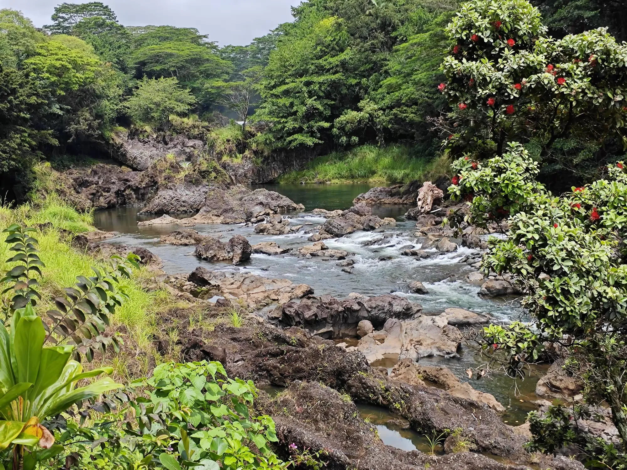 简篇-夏威夷自由行(八)—— 瀑布公园中的热带雨林